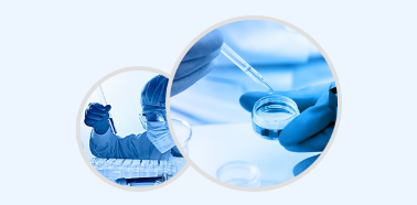 6年专注于智能停车场，客户遍布全国各地