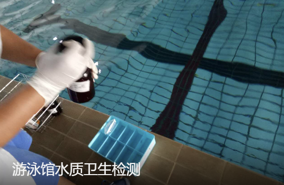 泳池水卫生检测